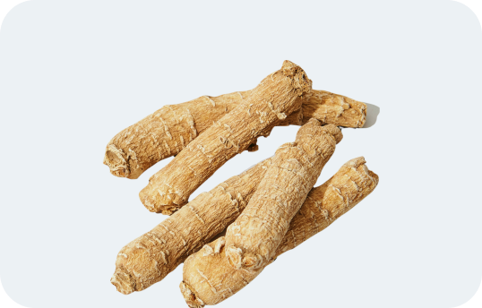 ginseng